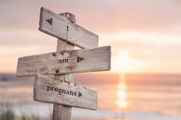  i am pregnant text quote written on wooden signpost at the beach during sunset.