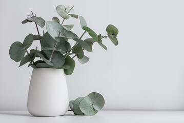 Green eucalyptus leaves in vase on white table