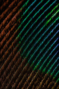 Multicolored lines background