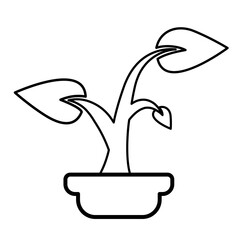 Silhouette plant grow at pot vector illustration