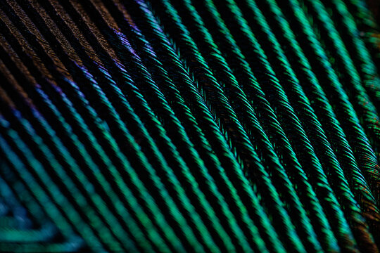 Multicolored lines background