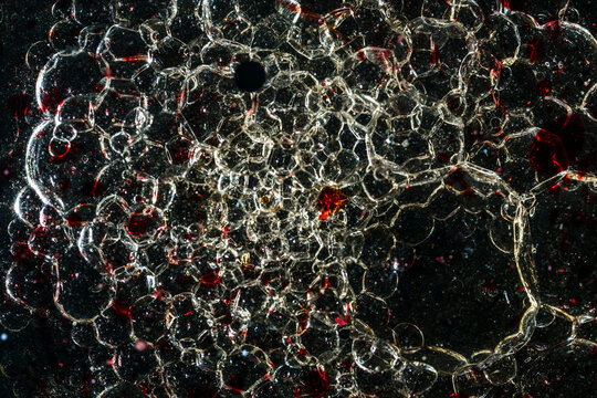 Many bubbles in dark oil