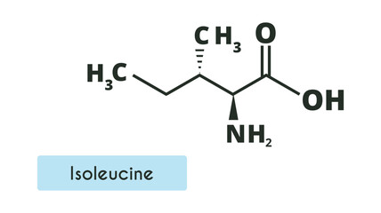 Isoleucine Molecule Structure. (L-isoleucine, Ile, I). Skeletal formula. Amino acid.