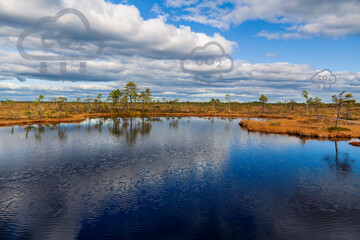 Carbon capture concept. Peat bog with bog pool. Natural carbon deposit.
