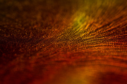 Shiny particles of metallic paint