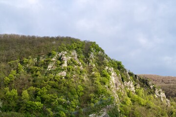 Fototapeta na wymiar small mountain with fresh green in the spring