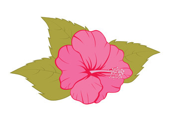 cute azalea flower design vector flat isolated illustration