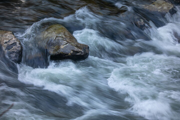 River in Great Smoky Mountains National Park