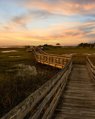 Marsh Walkway!  