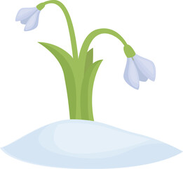 Winter snowdrop icon cartoon vector. Spring flower. Petal blossom