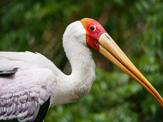 Tampa Florida Zoo and Weedon Island Preserve