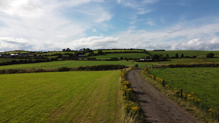 Fototapeta na wymiar A road between fields, Ireland. Blue sky over grass fields. Irish summer landscape. Green grass field under blue sky