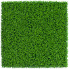 Patch of grass in form of square.3D rendering illustration. 