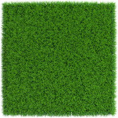 Fototapeta premium Patch of grass in form of square.3D rendering illustration. 
