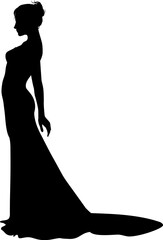 Fototapeta na wymiar A woman bride in a bridal wedding dress in a silhouette