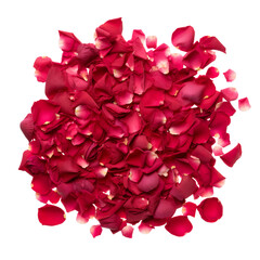 Dark pink ground rose petals on transparent PNG background. Created with Generative AI.	