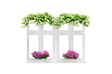 white window with petunia flowers isolated on white