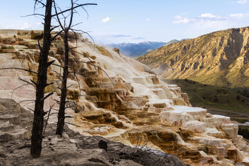 Travertine terrace in the morning light at Mammoth Hot Springs in Yellowstone National Park; Wyoming