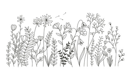 Beautiful flowers isolated on white background. vector illustration  © Ardiyan