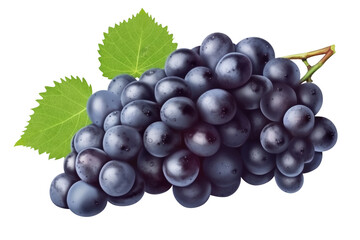 Blue wet grapes bunch isolated on white background. Generative AI