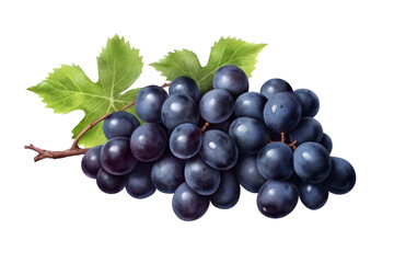 Fototapeta premium Blue wet grapes bunch isolated on white background. Generative AI