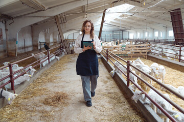 Woman Student working in Shed with Livestock, electronic Tablet in Hands