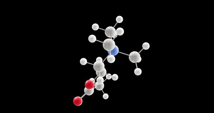 Acetylcholine molecule, rotating 3D model of neurotransmitter, looped video with alpha channel