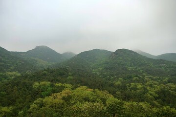 Fototapeta premium 경관, 마운튼, sky, 마운튼, 네이처, 나무, 구름, 구름, 계곡, 파노라마, 나무, 나무, 고개, 안개, 여행, 경치, green, 미스트, 모닝, 여름, 고개, 공원, 호수, 미, 봉우리