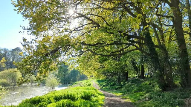 La For&ecirc;t, la Prairie et et le Canal