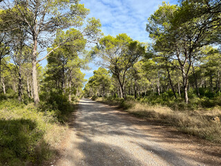 Fototapeta na wymiar Gravel road through Parc Natural del Montgrí