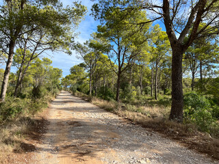 Gravel road through Parc Natural del Montgrí