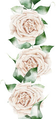Delicate roses pastel seamless watercolor border