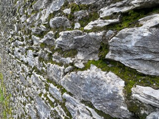 Green moss on a man-made stone wall.