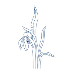Fototapeta na wymiar Vector linear hand drawing of a snowdrop. The first spring forest flowers. Primrose Botanical Pattern
