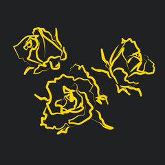 Linear image of a yellow rose on a dark background. Pen sketching of a delicate garden flower.