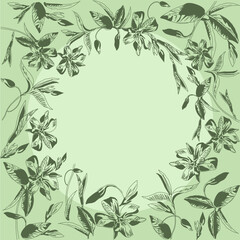 Circular pattern of forest periwinkle flower. Background based on inflorescences, leaves and buds of delicate spring flowers