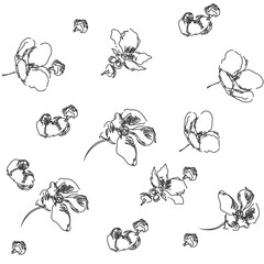 Hand drawing of a flowering branch. Botanical black and white linear pattern