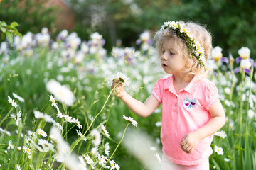Little girl in a field with daisies, portrait of a child with a daisy
