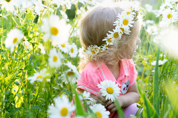 Little girl in a field with daisies, portrait of a child with a daisy