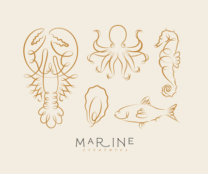 Filigree swirl sea and ocean creatures lobster, octopus, seahorse, oyster, fish drawing on beige background