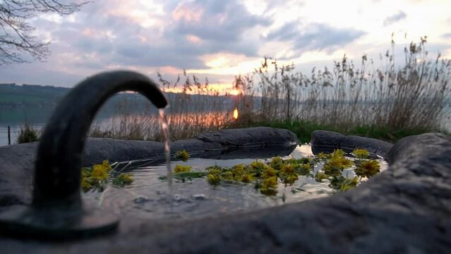 Kleiner Brunnen mit L&ouml;wenzahn im Sonnenuntergang