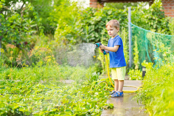 Child watering flowers and plants in garden. Little boy gardening