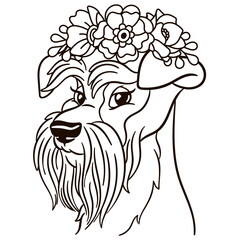 Cartoon miniature schnauzer dog in floral crown. Cute baby animal nursery print.
