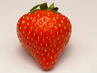 Erdbeere