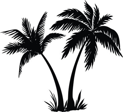 Black palm trees set isolated on white background. Palm silhouettes. 