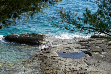 Stony sea coast with blue sea water and stone beach framed with pine tree branches