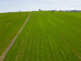 Obraz premium large agricultural areas and the future of agriculture