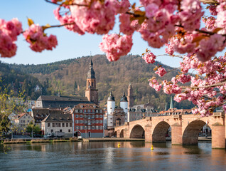 Heidelberg Old Bridge in spring, Germany - obrazy, fototapety, plakaty