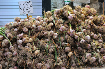 Pile of garlic bulbs