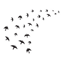 Silhouette Of A Flock Of Flying Birds Stock Illustration